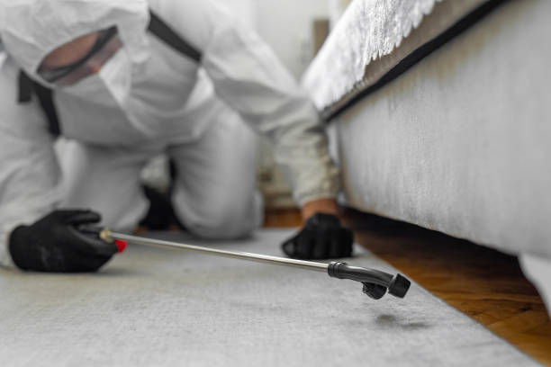 Professional Termite Control technician working in Tioga, ND
