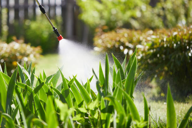 24/7 Emergency Termite Control experts in Tioga, ND